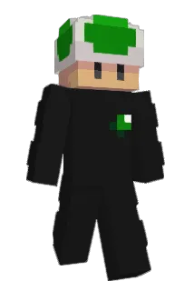 Tomo10969 Minecraft avatar full body
