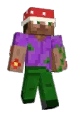 TomsOnsD Minecraft avatar full body