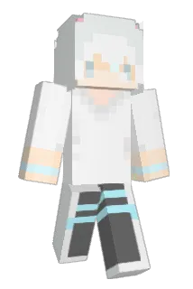 Tonersirt Minecraft avatar full body