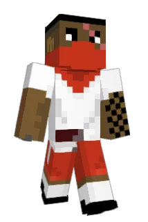Tonfo Minecraft avatar full body