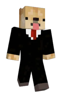 Tonke Minecraft avatar full body
