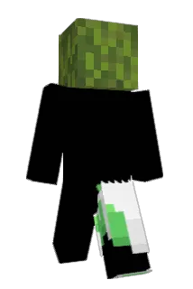 Tonkie Minecraft avatar full body