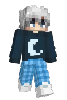 Tonn_yo Minecraft avatar full body
