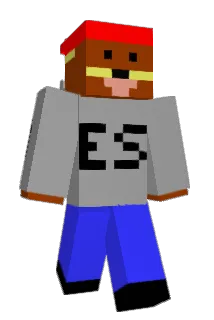 Tonza66 Minecraft avatar full body