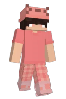 ToobValid Minecraft avatar full body