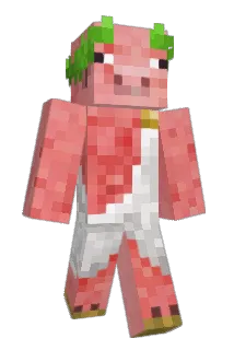 Tooby2010 Minecraft avatar full body