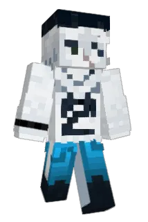 ToonFan2106 Minecraft avatar full body