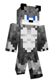 Toon_the_builder Minecraft avatar full body
