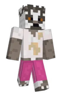 Toonmaki Minecraft avatar full body