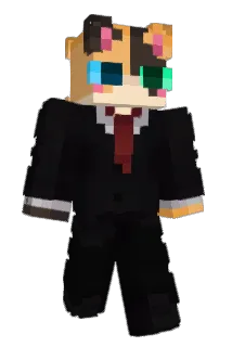 TopFox208 Minecraft avatar full body