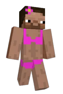 Topic55 Minecraft avatar full body