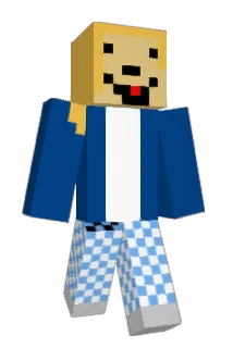 Topp112 Minecraft avatar full body