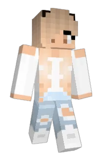 Torchick6 Minecraft avatar full body