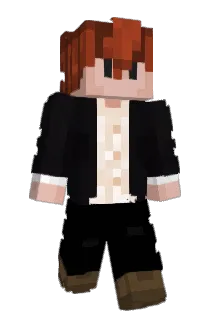 TordCookie Minecraft avatar full body