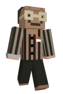 Toroid Minecraft avatar full body