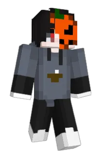 Tororowasd Minecraft avatar full body