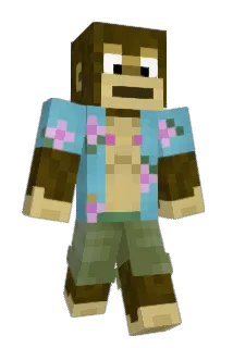 Torrecusaa Minecraft avatar full body