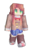Torritorr Minecraft avatar full body