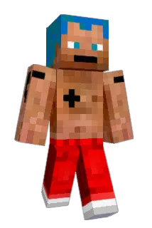 Tortik11 Minecraft avatar full body