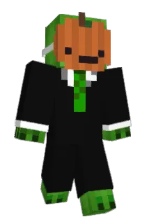 Tortleboi Minecraft avatar full body