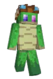 Tortls Minecraft avatar full body