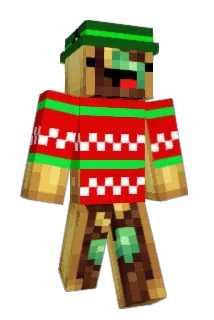 TortoGato Minecraft avatar full body