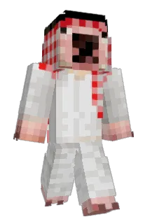 Tortponle Minecraft avatar full body