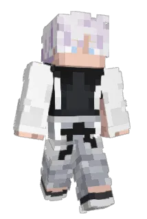 Torxchcom Minecraft avatar full body