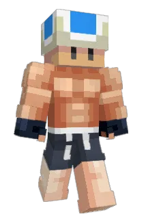 Toryuken Minecraft avatar full body