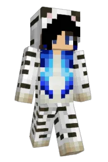 TotalIncon Minecraft avatar full body