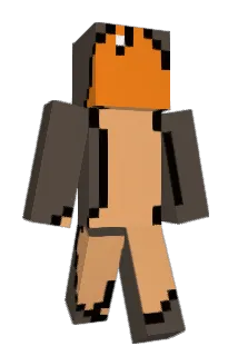 Totorooooo Minecraft avatar full body