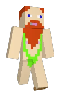 ToughSteve559 Minecraft avatar full body