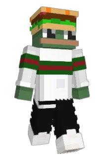 TowNLE9 Minecraft avatar full body