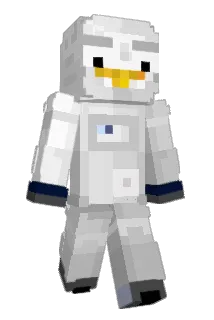 Towells Minecraft avatar full body