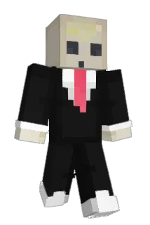 Towse Minecraft avatar full body