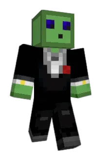 Toylil Minecraft avatar full body