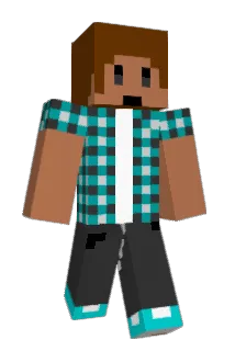 Tracker343 Minecraft avatar full body