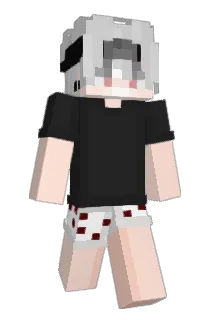 TraderZoom Minecraft avatar full body