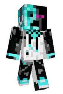 TransitGamer Minecraft avatar full body