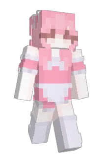 Transportin Minecraft avatar full body