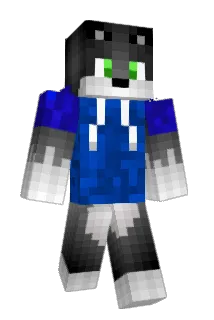 Tranzite Minecraft avatar full body