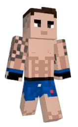Custom render preview