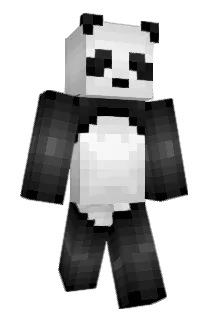 TrashPanda13 Minecraft avatar full body