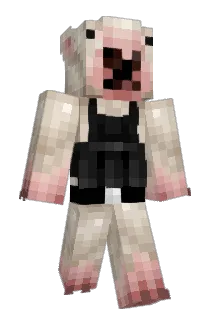 Trashman8934 Minecraft avatar full body