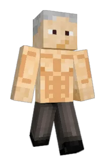 Traveivis Minecraft avatar full body