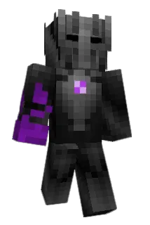 Trax9999 Minecraft avatar full body