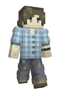 Trayorkies Minecraft avatar full body