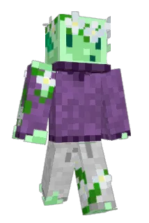 TreeSapling_Zepp Minecraft avatar full body