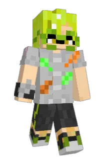 Treeckoman182 Minecraft avatar full body