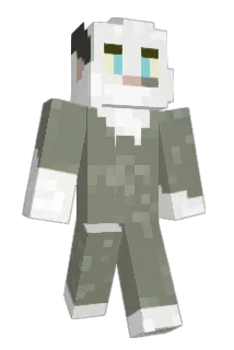 Treeetop Minecraft avatar full body